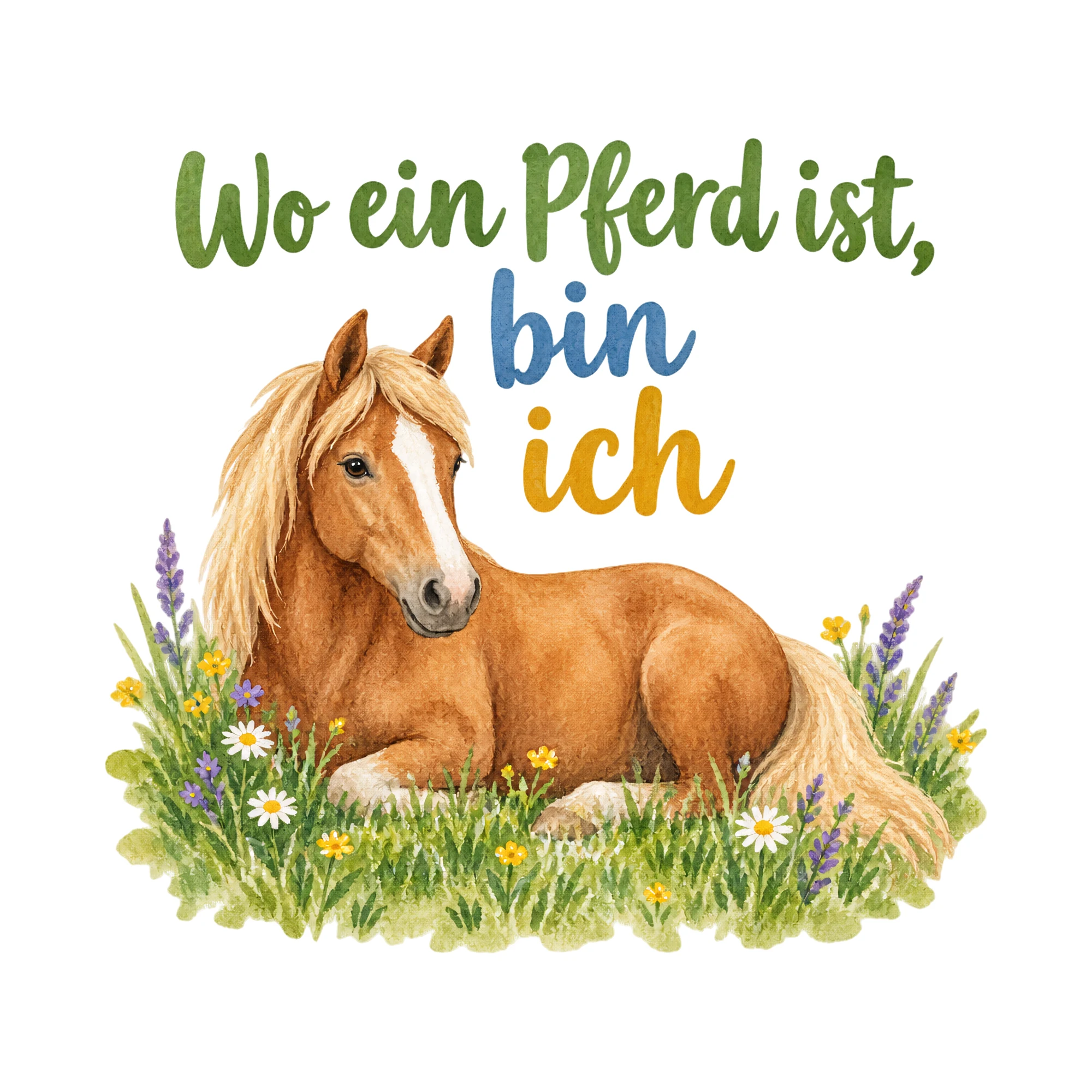Bügelbild Wo ein Pferd ist, bin ich, Tiere Shirt Spruch als Grafik auf weißem Hintergrund (BB016584)