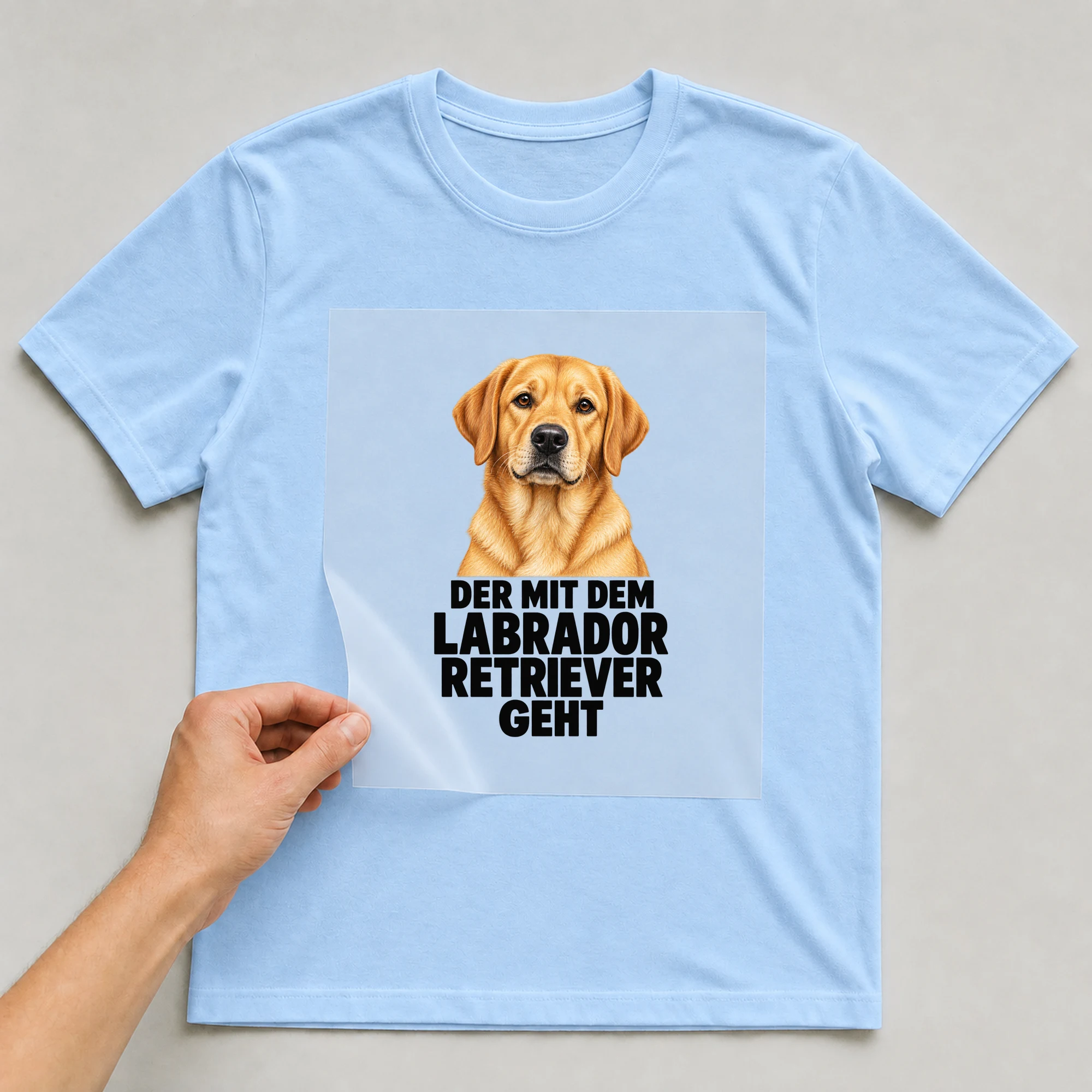 Bügelbild „Der Mit Dem Labrador Retriever Geht“ auf babyblauem T-Shirt, Folie wird aufgelegt