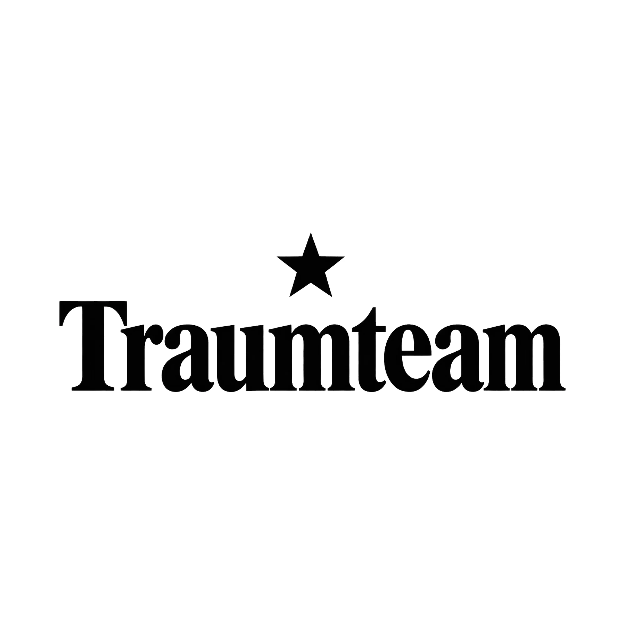 Bügelbild Traumteam, Beruf Shirt Spruch als Grafik auf weißem Hintergrund (BB017025)