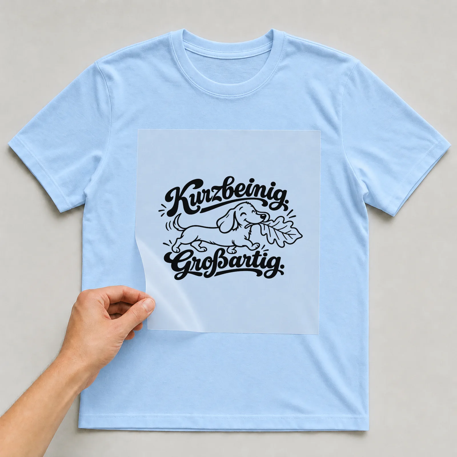 Bügelbild „Kurzbeinig. Großartig.“ auf hellblauem T-Shirt, Folie wird aufgelegt