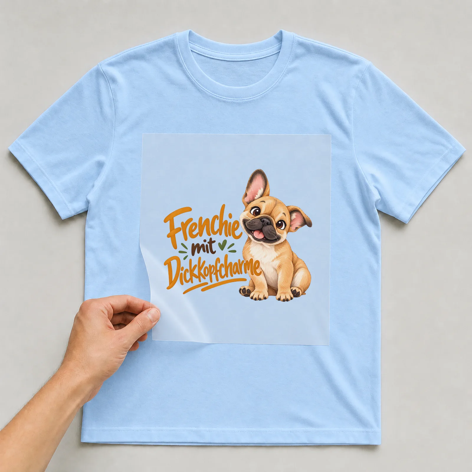 Bügelbild „Frenchie mit Dickkopfcharme“ auf hellblauem T-Shirt, Folie wird aufgelegt