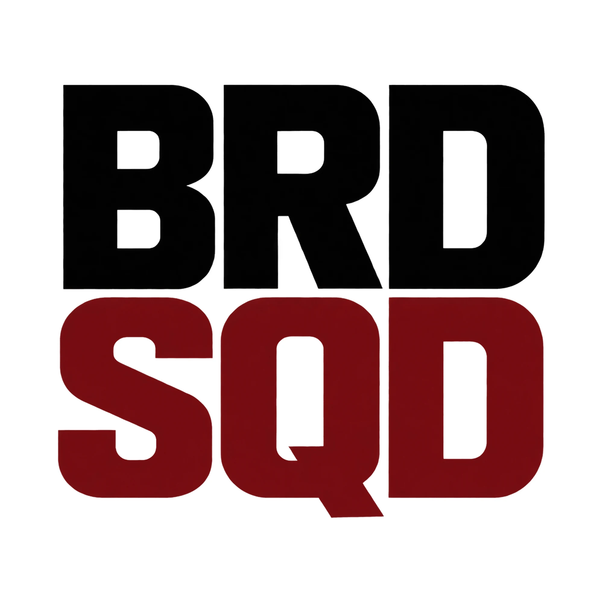 Bügelbild Brd Sqd, JGA Shirt Spruch als Grafik auf weißem Hintergrund (BB015332)