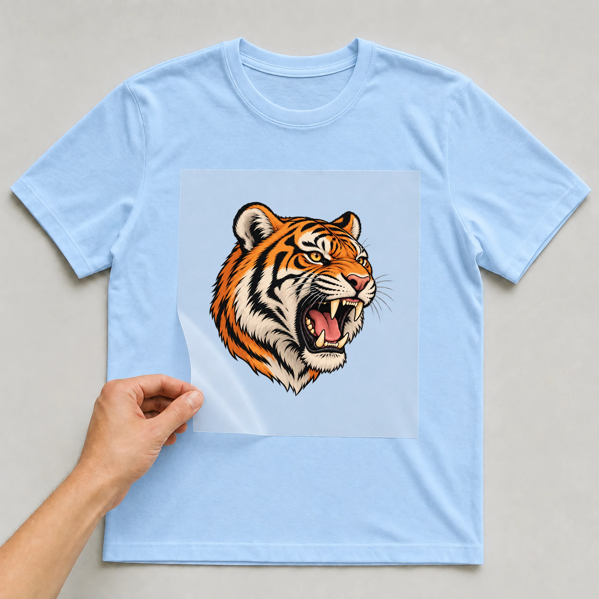 Bügelbild „Brüllender Tiger“ auf babyblauem T-Shirt, Folie wird aufgelegt