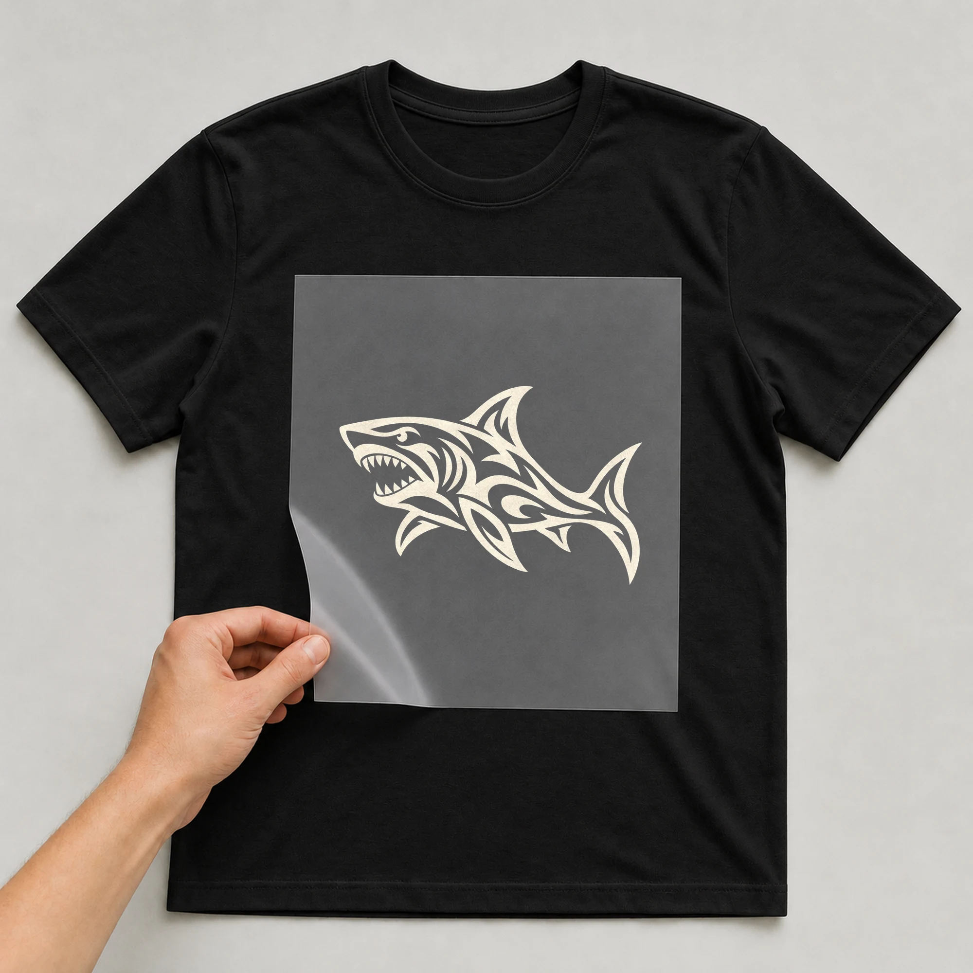 Bügelbild „BB021179-motiv-r03761“ auf schwarzem T-Shirt, Folie wird aufgelegt
